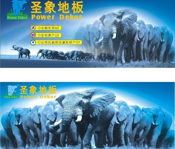 圣象地板圖片