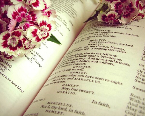 书本和花卉唯美意境