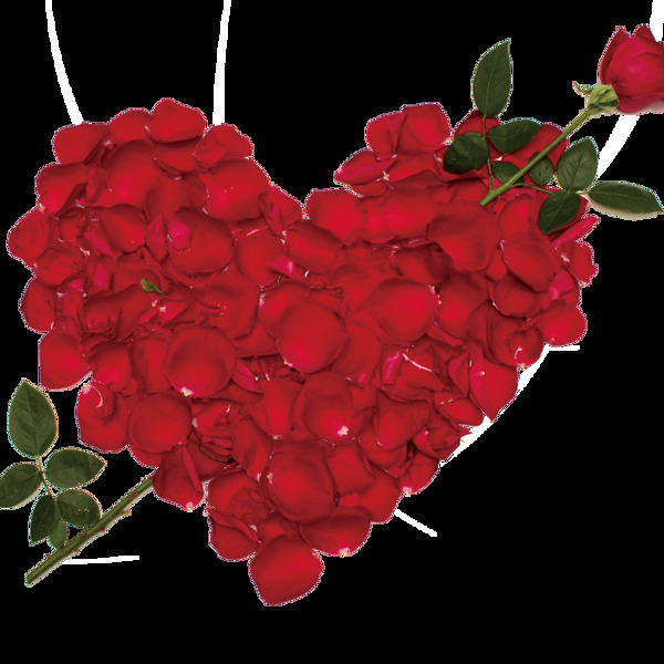 浪漫心形玫瑰花素材图片