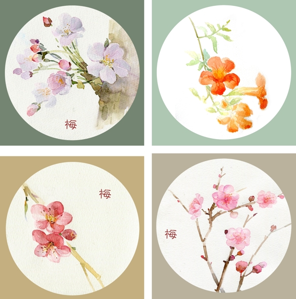 手繪花圖片