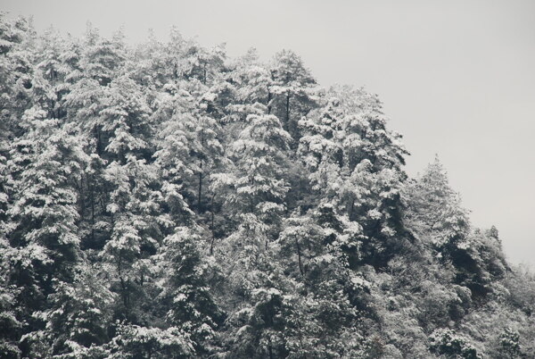 雪景圖片
