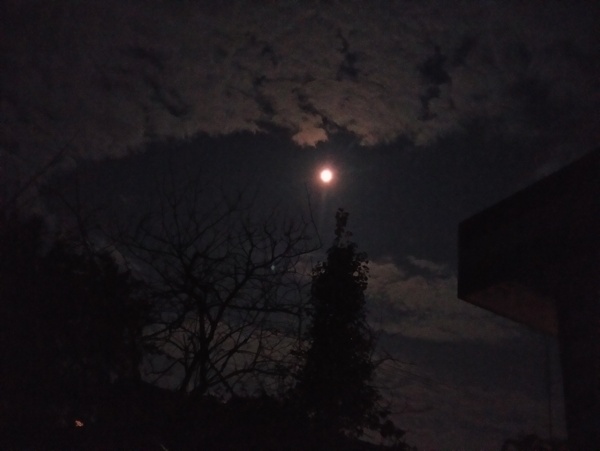 美丽的夜晚月亮风景图片