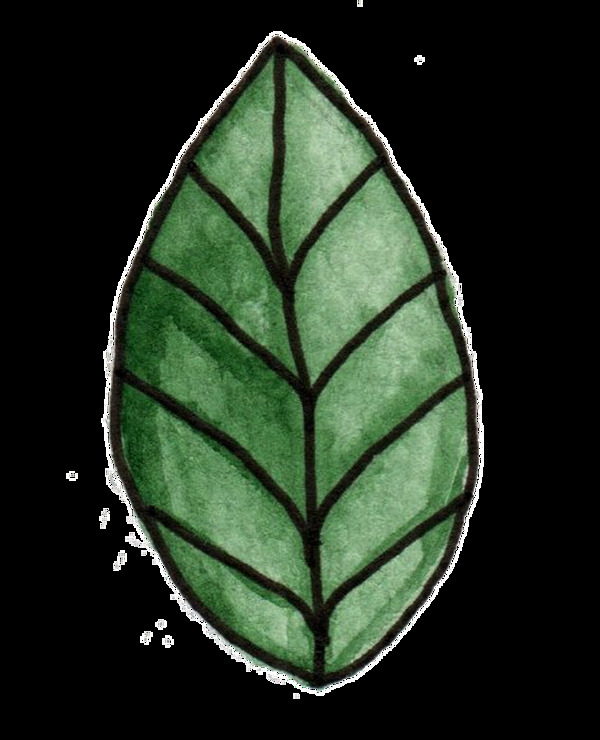 黑枝花葉透明裝飾素材
