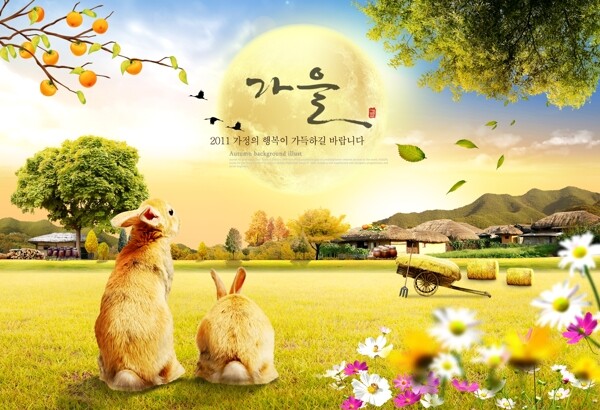 韩国高清素材兔子