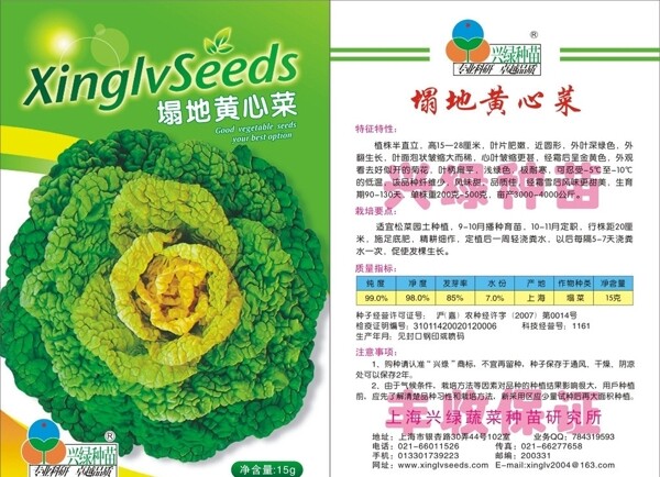 塌地黃心菜圖片