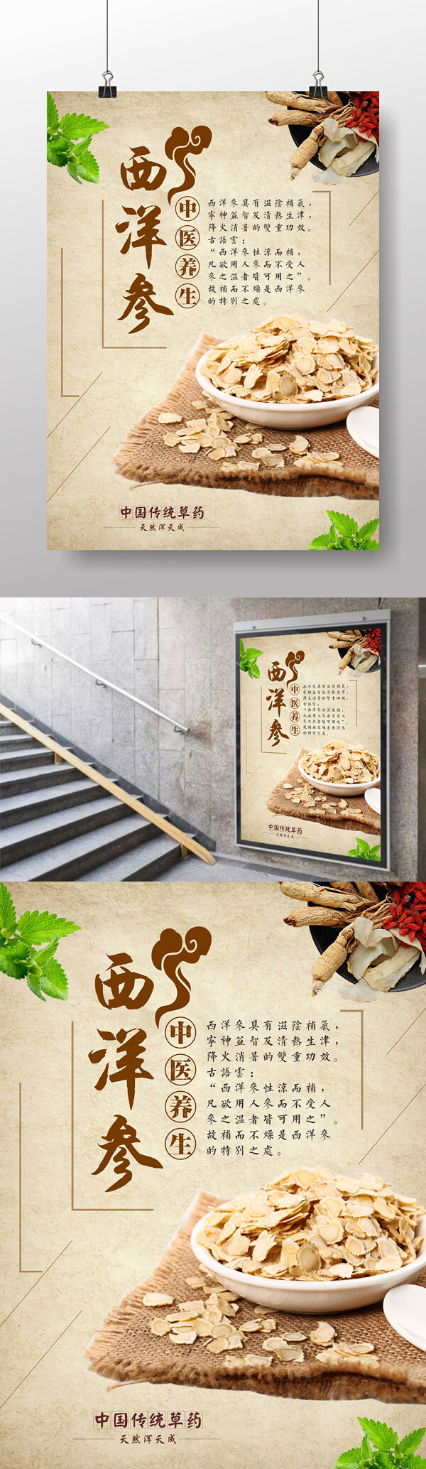 西洋参中国传统药材海报