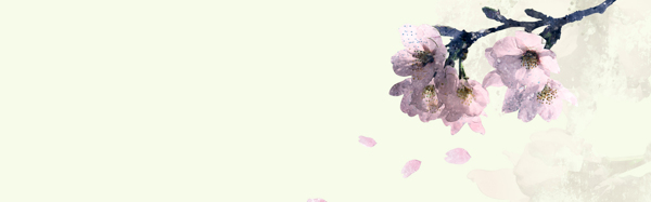 女裝