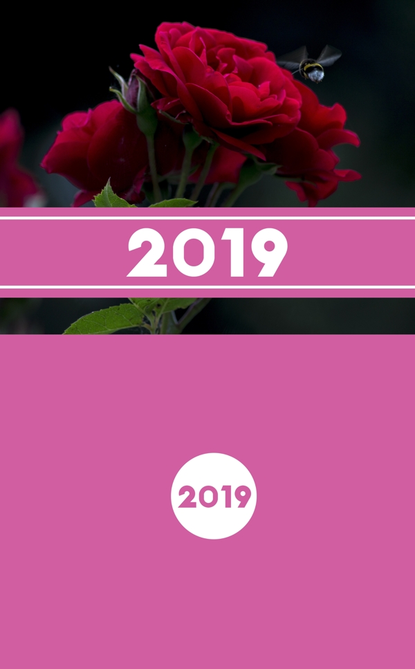 2019花卉摄影台历