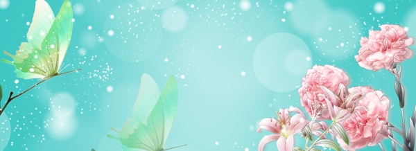 康乃馨蝴蝶花卉背景图片