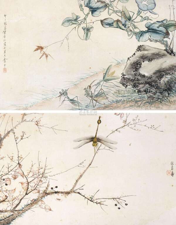 花鸟画花卉工笔画中国画