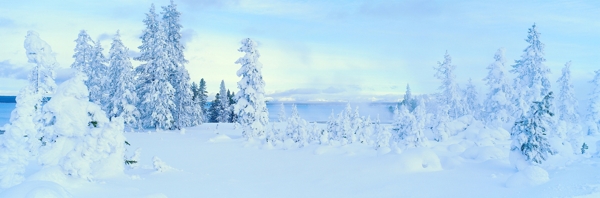 冬天雪景雪景大雪