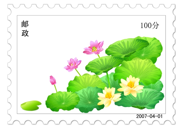 荷花圖片