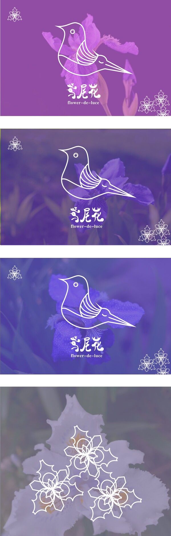 鸢尾花标志logo设计