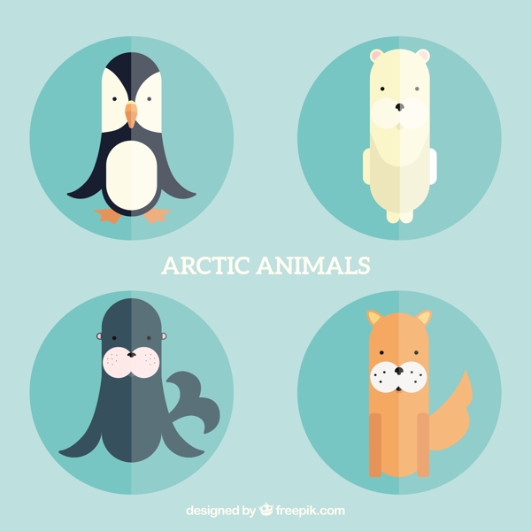 在平面设计中的北极动物