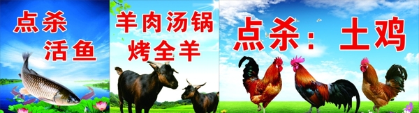 點(diǎn)殺圖片