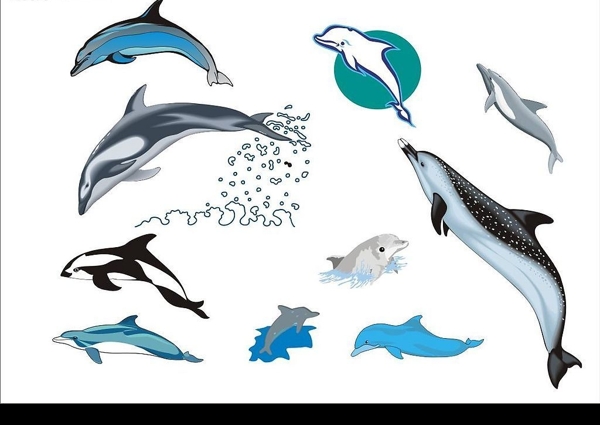 精选CorelDARW海洋生物矢量图海豚图片