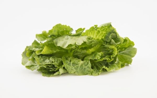 生菜