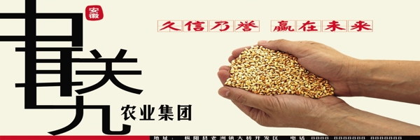 中聯(lián)九農(nóng)業(yè)集團(tuán)圖片