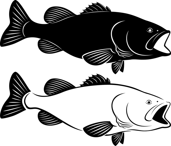 矢量魚圖片