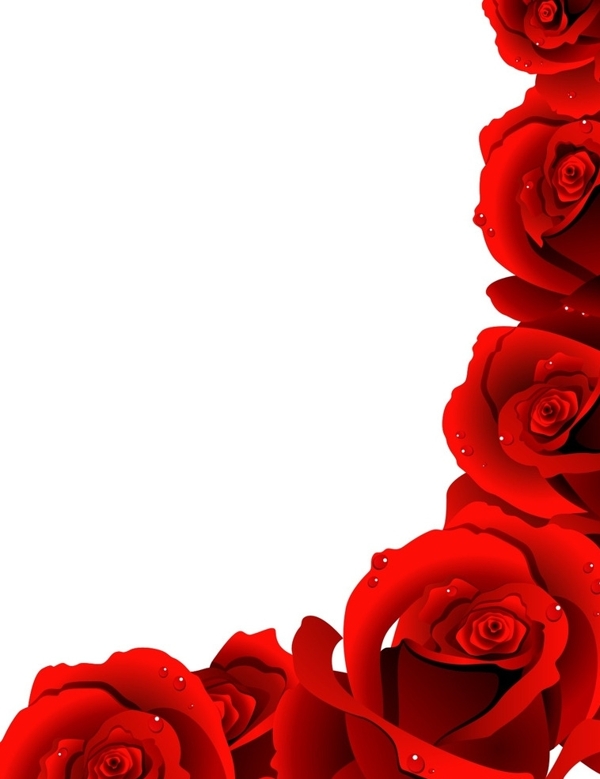 红玫瑰花边矢量素材