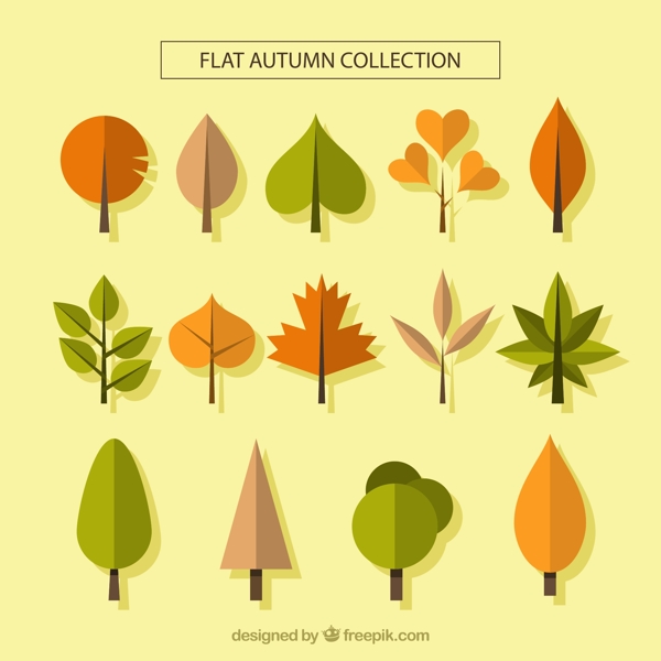 秋季树叶和树木图片