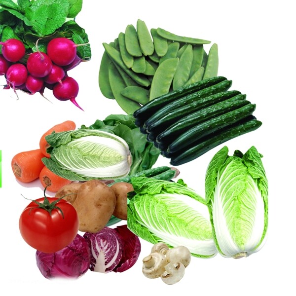 绿色蔬菜合集