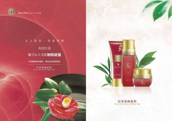 化妝品畫冊設計圖片