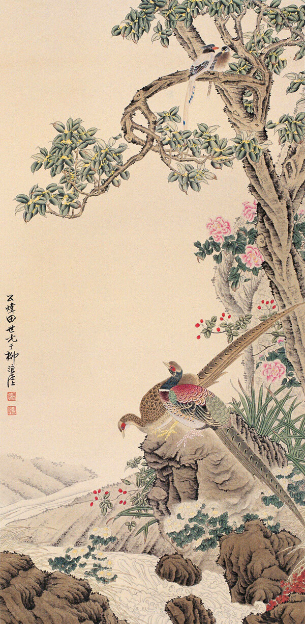 花鳥(niǎo)圖片