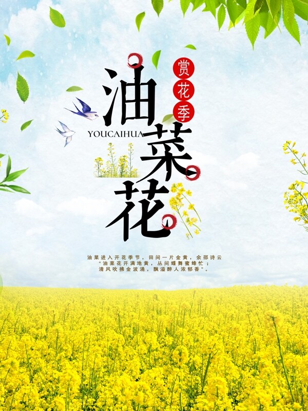 油菜花节旅游海报