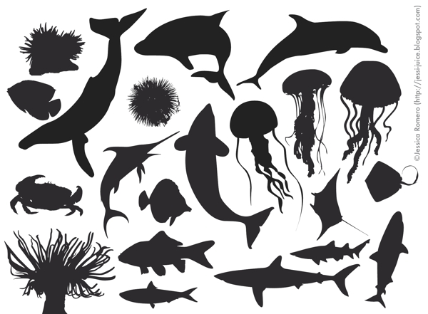 在圖片的海洋生物材料的元素