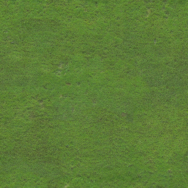 超高解析度草地纹理包含两张草地贴图UltimateGrassHighResolution