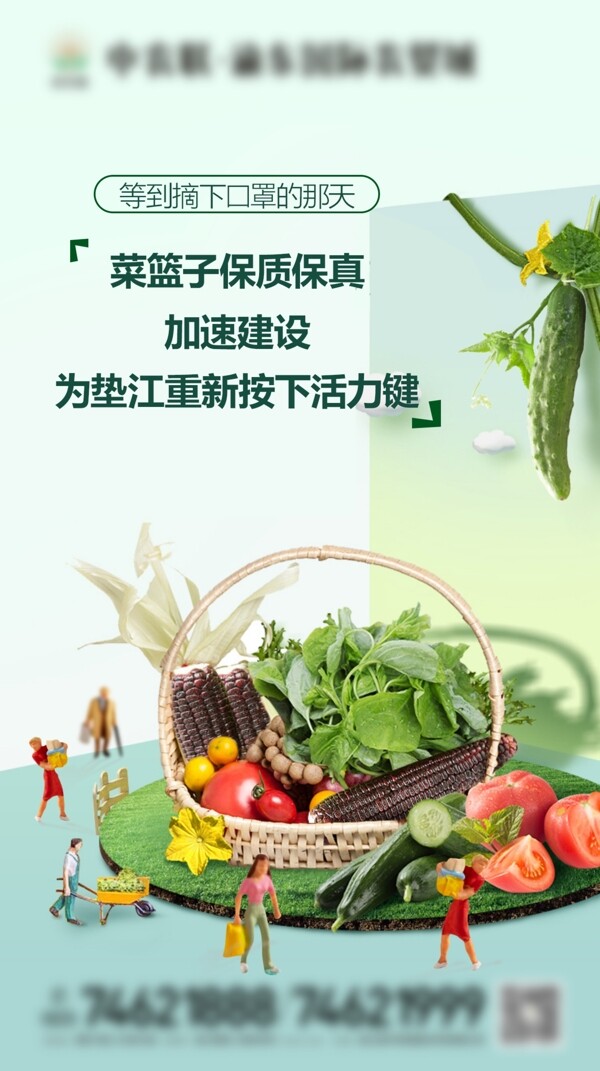 蔬果微信稿