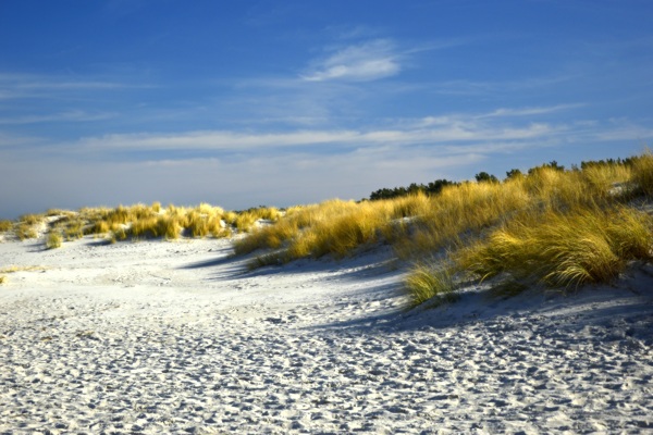 沙丘景观海滩草地蓝天白云8k图