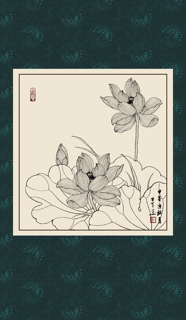 白描荷花圖片