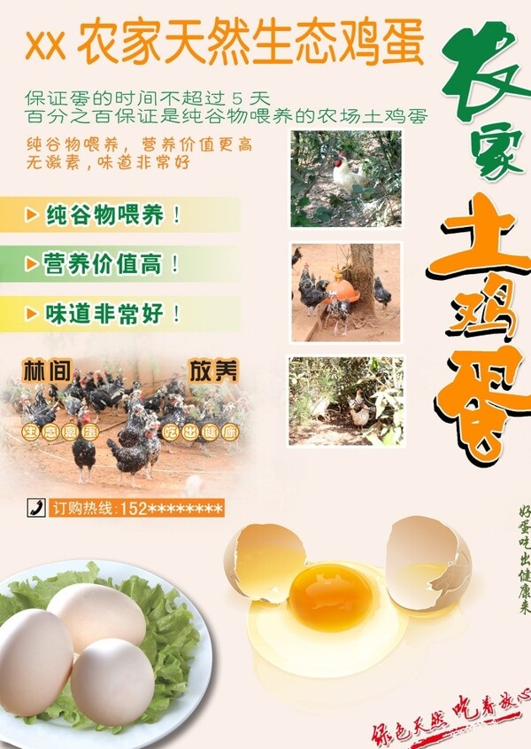 雞蛋海報