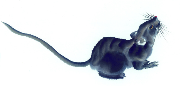 生肖圖