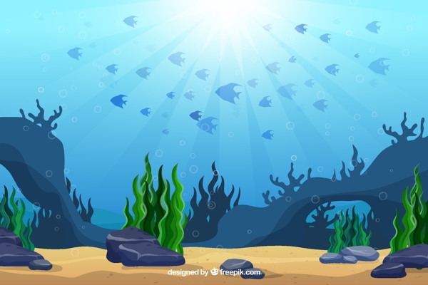 海底世界鱼群风景图片