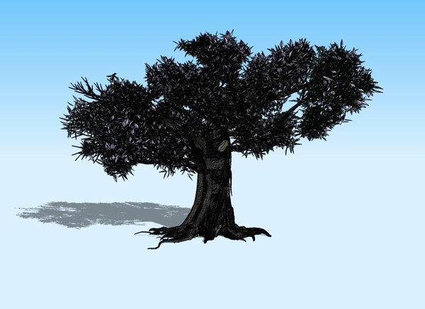 槐树3D模型图片