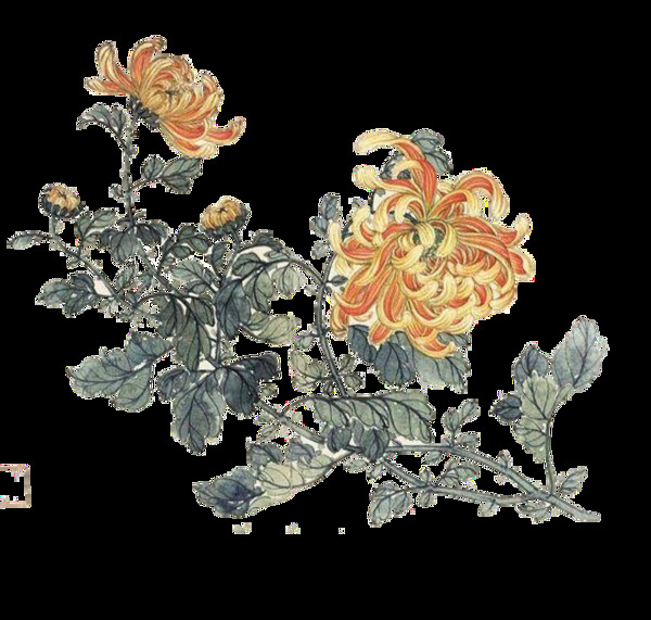 气质土黄色花朵手绘菊花装饰元素