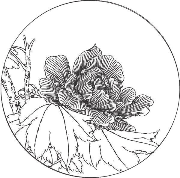 花卉
