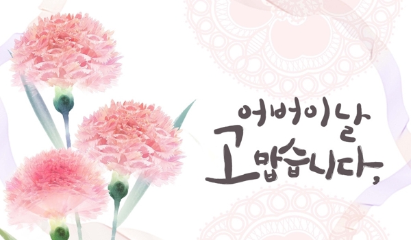 韩国素材花