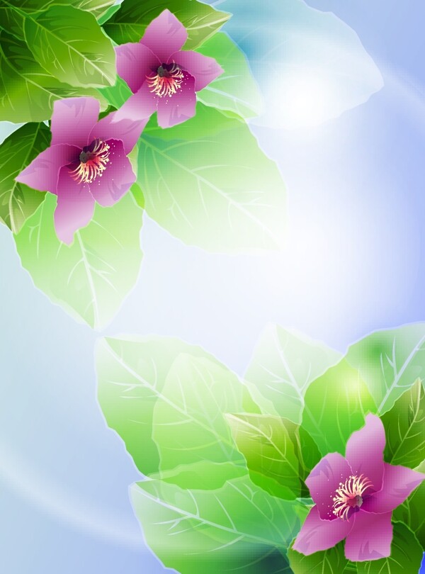 迎春花矢量素材圖片