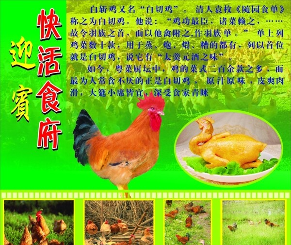 菜譜圖片