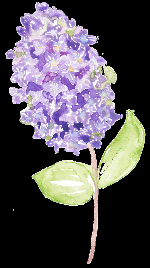 浅紫色手绘花朵花枝装饰素材