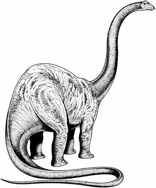 遠(yuǎn)古時代的動物恐龍手繪畫動物素描