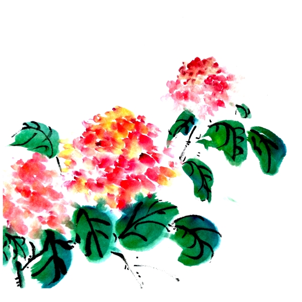 紫阳花绣球花PNG红色水红植物国画水墨