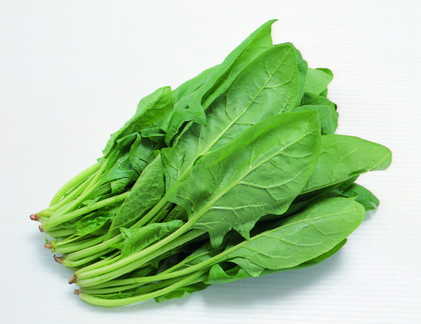 菠菜圖片