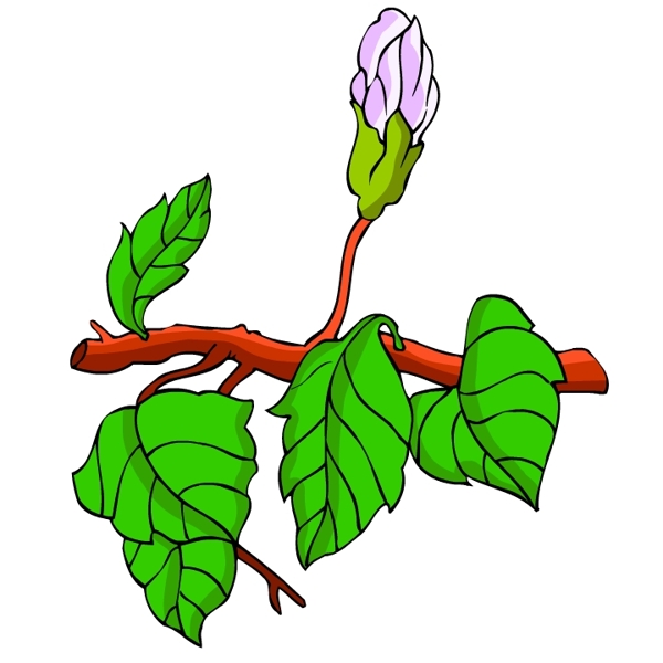 花卉古典插畫