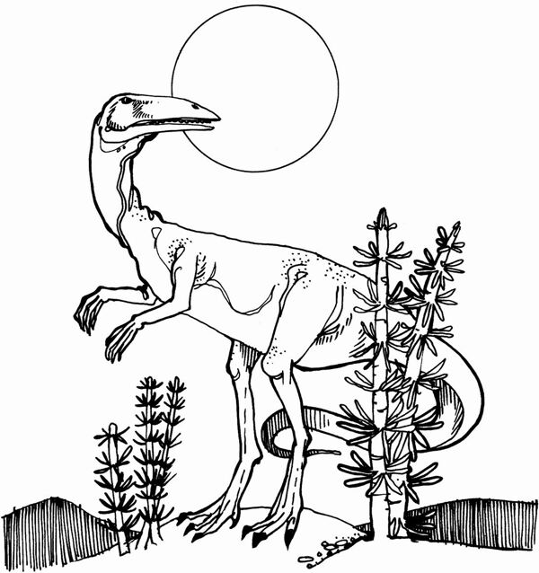遠(yuǎn)古時(shí)代的動(dòng)物恐龍手繪畫(huà)動(dòng)物素描