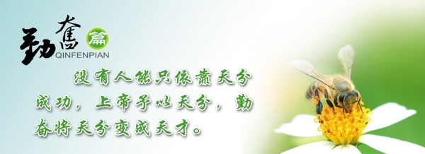 企業(yè)文化圖片